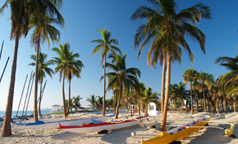 Florida